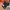 Streetwear Y2K Trench coat Wanita black orange photo 4