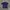 Minimalist Polo shirt Pria white navy photo 1