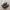 Adidas Casual Sneakers Pria black gray photo 1