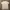 Fruit of the Loom Vintage Streetwear T-shirt Pria white photo 4