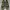 Puma Sportswear Sneakers Pria green black photo 2