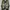 Puma Sportswear Sneakers Pria green black photo 1