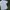 Minimalist Casual Formal shirt Pria white black photo 2