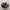 VANS Emo Casual Sneakers Pria white black photo 1