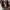 Lolita Casual Casual dress Wanita burgundy photo 2