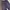 Vintage Y2K Jeans Pria purple photo 7