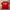 ECKO UNLTD Streetwear Y2K T-shirt Pria Red