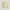 Minimalist Casual Wanita cream yellow photo 1