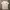 Ocean Pacific Y2K Sportswear T-shirt Pria White