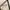 Ocean Pacific Y2K Sportswear T-shirt Pria white photo 3