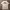 Ocean Pacific Y2K Sportswear T-shirt Pria white photo 4