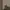 Carhartt Vintage Casual pants Pria tan photo 3