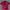In The Attic Grunge Goth Polo Shirt Pria Red Black