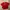 Vintage Grunge T-shirt Pria red photo 2
