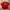 Vintage Grunge T-shirt Pria red photo 6