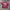 Casual T-shirt Pria red photo 3