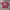 Casual T-shirt Pria red photo 1
