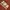 Kappa Vintage Sportswear Jersey Pria brown photo 3