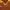 Kappa Vintage Sportswear Jersey Pria brown photo 6