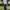 Thom Browne Streetwear Skater Jeans Pria navy blue photo 3