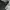 Fieldcore Sportswear Windbreaker Pria white photo 7