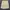EDWIN Y2K Skater Short Pria tan cream photo 4