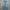 Streetwear Skater Jeans Pria navy blue photo 4