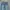 Streetwear Skater Jeans Pria navy blue photo 5