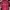 Muslim Formal shirt Pria burgundy photo 1
