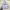 GAP Streetwear Hoody Pria gray photo 1