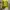 Y2K Emo Sweatshirt Wanita black yellow photo 3