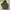 Adidas Casual Hoody Pria multicolor photo 1