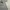 Y2K T-shirt Pria white gray photo 3