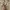 Pancoat Vintage Casual Hoody Pria tan photo 5