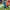 Umbro Vintage Sportswear Jersey Pria blue photo 6