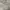 Thisisneverthat Casual Hoody Pria Gray