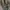 Charles and Keith Futurist Casual Handbag Wanita multicolor tan photo 5