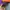 Junky’s Paradise Casual Hoody Pria multicolor photo 4