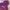 Junky’s Paradise Casual Hoody Pria multicolor photo 5