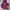 Junky’s Paradise Casual Hoody Pria multicolor photo 1