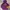 Junky’s Paradise Casual Hoody Pria Multicolor