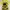 Y2K Grunge Sweatshirt Wanita black yellow photo 2