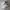Skechers Casual Sneakers Wanita white photo 1