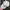Oakley Gorpcore Sportswear Hat Pria White