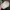 Oakley Gorpcore Sportswear Hat Pria white photo 4