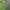 Moncler Luxury Casual Polo shirt Pria green photo 1