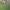 Moncler Luxury Casual Polo Shirt Pria Green