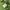 Moncler Luxury Casual Polo shirt Pria green photo 4