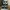 Nike Y2K Sneakers Pria black photo 1