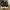 Nike Y2K Sneakers Pria black photo 5